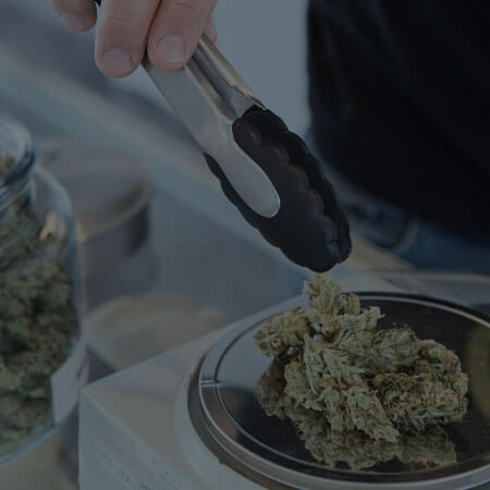 Articles about Cannabis Businesses and Industry