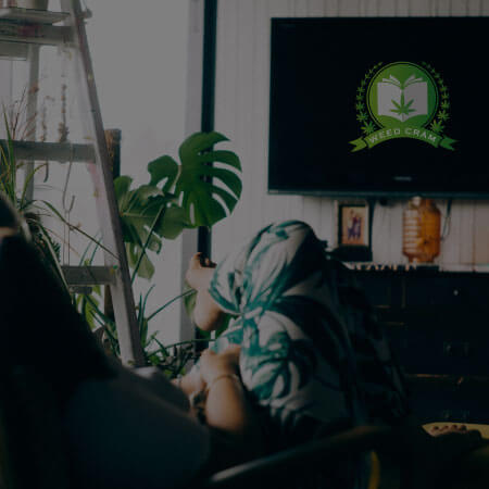 Weed Cram Videos